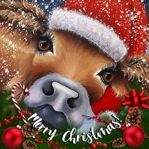 Meet your Posher, Teresa